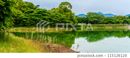 Fresh green Suwa pond panorama [Unzen City, Nagasaki Prefecture] 115126120