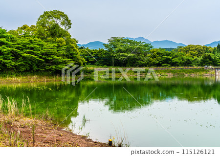 Fresh green Suwa pond [Unzen City, Nagasaki Prefecture] 115126121