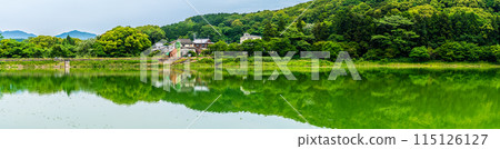 Fresh green Suwa pond panorama [Unzen City, Nagasaki Prefecture] 115126127