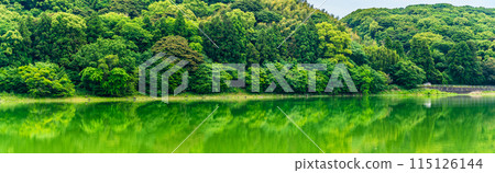 Fresh green Suwa pond panorama [Unzen City, Nagasaki Prefecture] 115126144