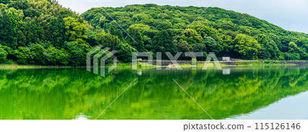 Fresh green Suwa pond panorama [Unzen City, Nagasaki Prefecture] 115126146