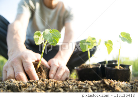 農夫種秧苗 農夫種秧苗 115126418