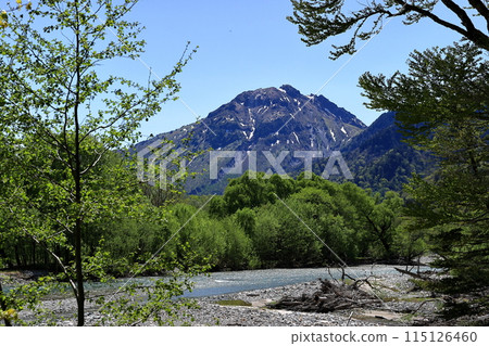 Fresh greenery in Kamikochi: Mount Yakedake and the Azusa River 115126460