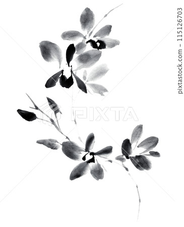Dendrobium drawn using ink painting techniques 115126703