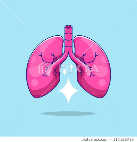Lung human anatomy biology organ body system 115126786