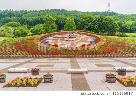 (Hokkaido) Flower Clock Hanack at Tokachigaoka Park (Hokkaido) Flower Clock Hanack at Tokachigaoka Park 115126917