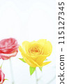 Bright colorful rose flowers 115127345