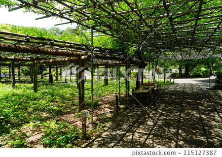 東京町田藥師池公園店鋪周邊風景 115127387