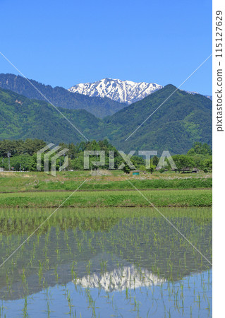 五月在安曇野鄉村和北阿爾卑斯山 115127629