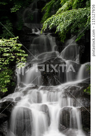 Goraiko Falls in Inai, Toon City, Ehime Prefecture Goraiko Falls in Inai, Toon City, Ehime Prefecture 115127656