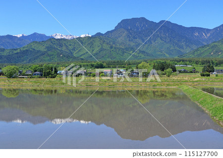 五月在安曇野鄉村和北阿爾卑斯山 115127700
