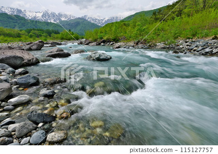 Spring at Hakuba Ohashi Bridge, the riverbank. The turquoise Matsukawa River flows from the Northern Alps. 115127757