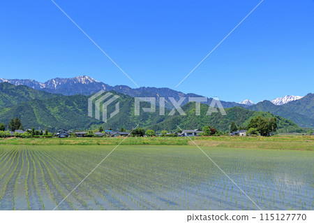 五月在安曇野鄉村和北阿爾卑斯山 115127770