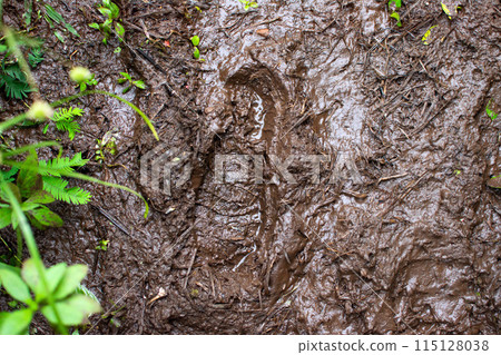 Human footprint in sticky wet mud Close-up 115128038
