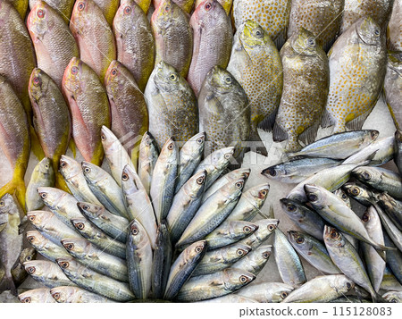 Fresh sea fish on ice in a seafood store 115128083