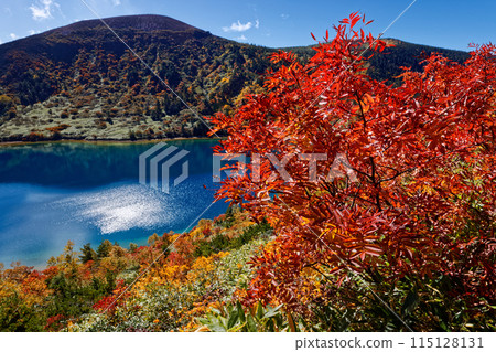 Lake Goshiki and the Azuma Mountain Range with autumn leaves 115128131