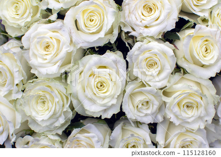 many white roses in a bouquet top view 115128160