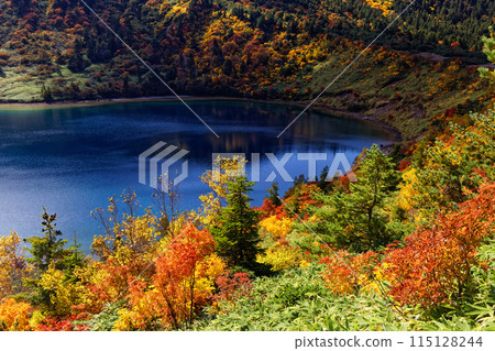 Autumn foliage at the Agatsuma Mountain Range and Goshiki-numa Autumn foliage at the Agatsuma Mountain Range and Goshiki-numa 115128244