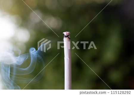 smoldering smoking cigarette on the background of nature 115128292