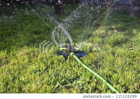 portable lawn sprinkler sprinkles water on green lawn portable lawn sprinkler sprinkles water on green lawn 115128299