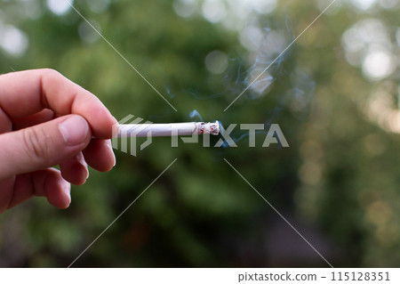 smoldering smoking cigarette in hand on the background of nature smoldering smoking cigarette in hand on the background of nature 115128351