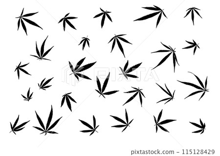 black and white image of cannabis leaves black and white image of cannabis leaves 115128429