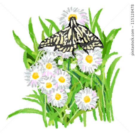 燕尾蝶用 Halcyon 吸吮花蜜 115128478