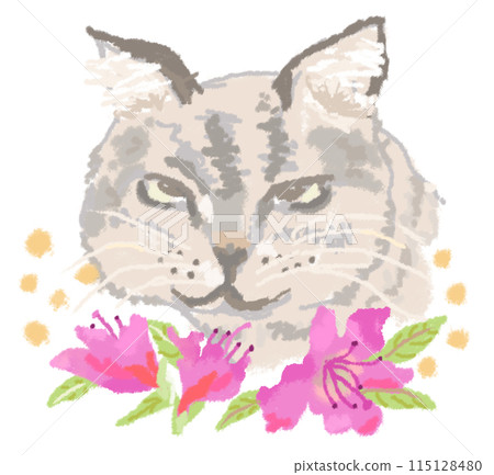 深粉紅色杜鵑花和貓 115128480