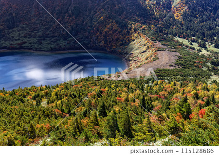 Lake Goshiki with autumn foliage as seen from Mount Igatama in the Azuma Mountain Range Lake Goshiki with autumn foliage as seen from Mount Igatama in the Azuma Mountain Range 115128686