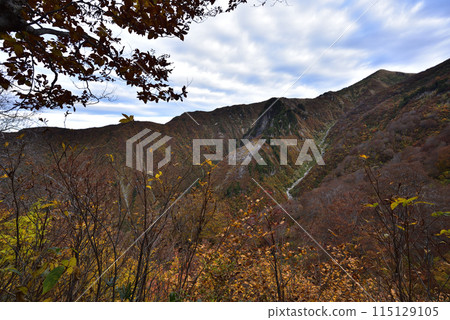 Makikiyama, mountain climbing, Niigata Prefecture 115129105