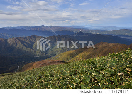 Makikiyama, mountain climbing, Niigata Prefecture Makikiyama, mountain climbing, Niigata Prefecture 115129115