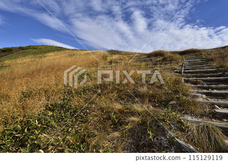 Makikiyama, mountain climbing, Niigata Prefecture 115129119