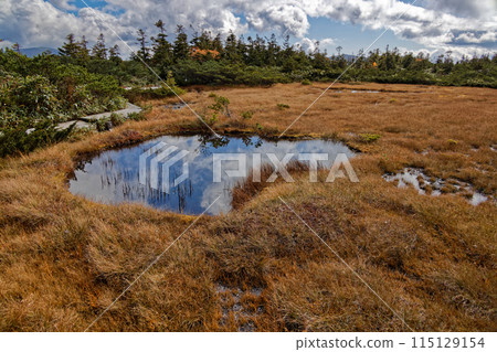東山脈橫貫路線/東大和濕地 東山脈橫貫路線/東大和濕地 115129154