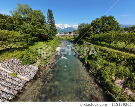 Fresh greenery in Hakuba, Oide Suspension Bridge and snow-covered Hakuba Sanzan, Hakuba Village, Nagano Prefecture (aerial photography by drone) 115129265