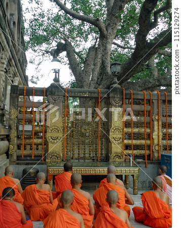A monk worships facing the Vajra seat to the west of the Great Seated Hall of Bodh Gaya, the sacred place in India where Buddha attained enlightenment. 115129274