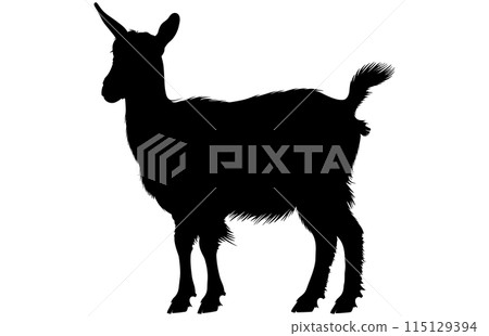 Black Alpine Goat Silhouette, Alpine ibex silhouette illustration Black Alpine Goat Silhouette, Alpine ibex silhouette illustration 115129394