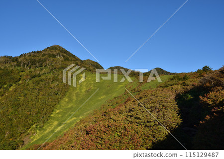Mt. Nyoho, Nikko, Kirifuri, Tochigi Prefecture 115129487
