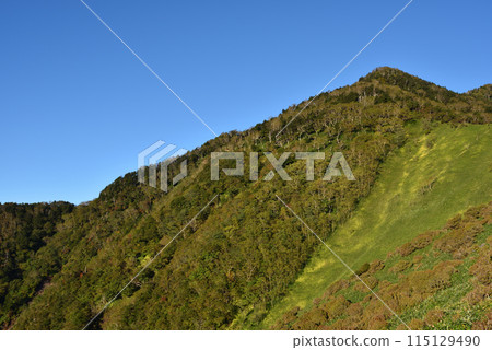 Mt. Nyoho, Nikko, Kirifuri, Tochigi Prefecture Mt. Nyoho, Nikko, Kirifuri, Tochigi Prefecture 115129490