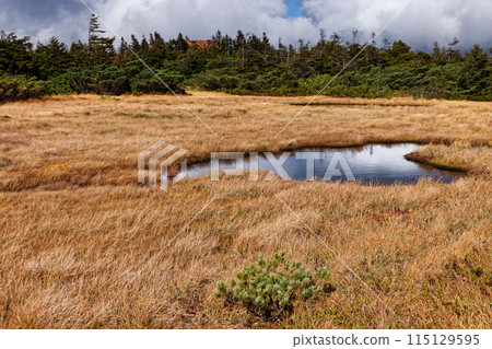 Autumn colors of the Azuma Mountain Range, the Yabeidaira marshland and Meigetsuso Autumn colors of the Azuma Mountain Range, the Yabeidaira marshland and Meigetsuso 115129595