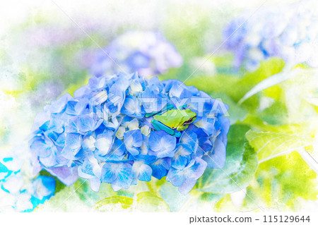 Hydrangea and frog 115129644