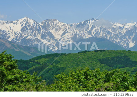 春天，從國道406號線的白馬村看到新綠殘雪的白馬三山（白馬矢鹿岳、週志岳、白馬山） 115129652