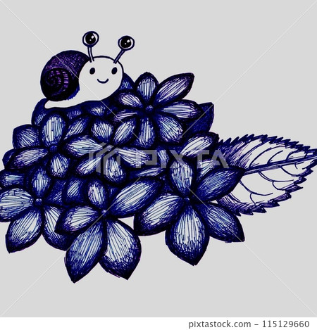 Hydrangea and snail 115129660