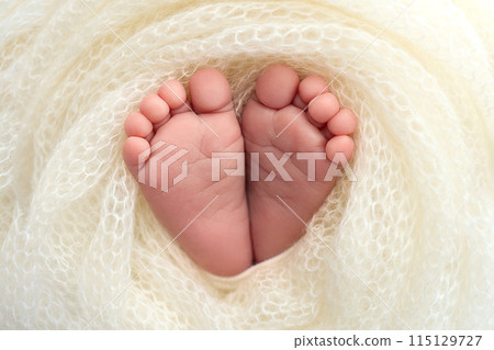 The tiny foot of a newborn baby. Soft feet of a new born in a wool white blanket. Close up of toes, heels and feet of a newborn. Macro photography. 115129727