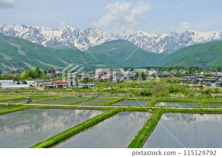 春天的白馬村 北阿爾卑斯山的白馬三山倒映在新綠的稻田裡 115129792