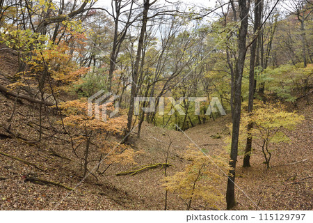 Mt. Arafune, mountain climbing, Gunma Prefecture Mt. Arafune, mountain climbing, Gunma Prefecture 115129797