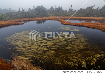 Morning mist in the Agatsuma Mountains and the marshland of Yabeidaira 115129822