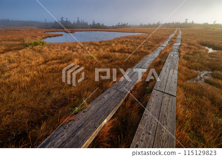 Morning view of the Azuma Mountain Range and the marshland of Yabeidaira 115129823