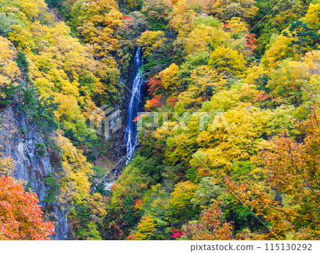 Autumn leaves at Yatsutaki Falls Autumn leaves at Yatsutaki Falls 115130292