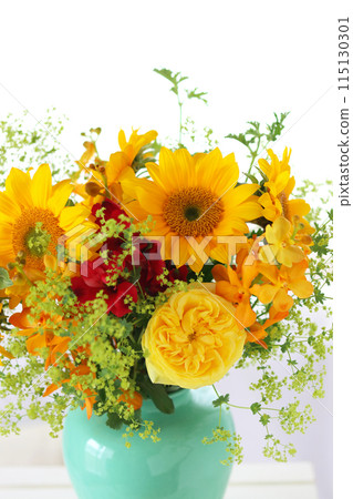 太陽花的安排 115130301