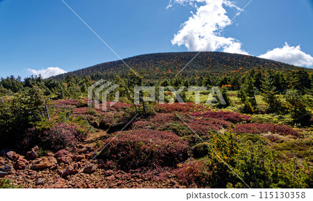 秋天從姥原看到的東連峰和東妻山 秋天從姥原看到的東連峰和東妻山 115130358
